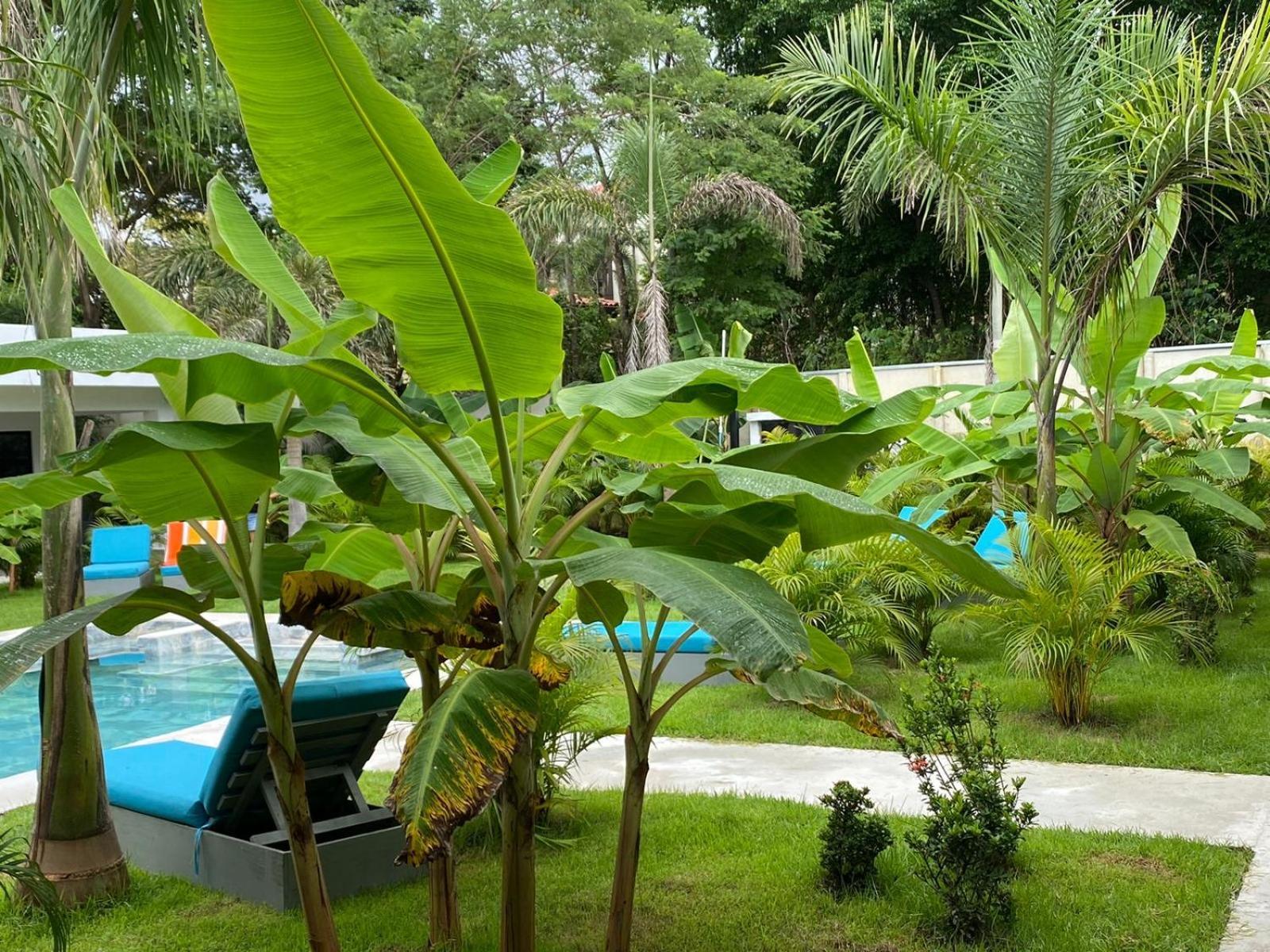 Hotel Good Life Coco Ngoại thất bức ảnh