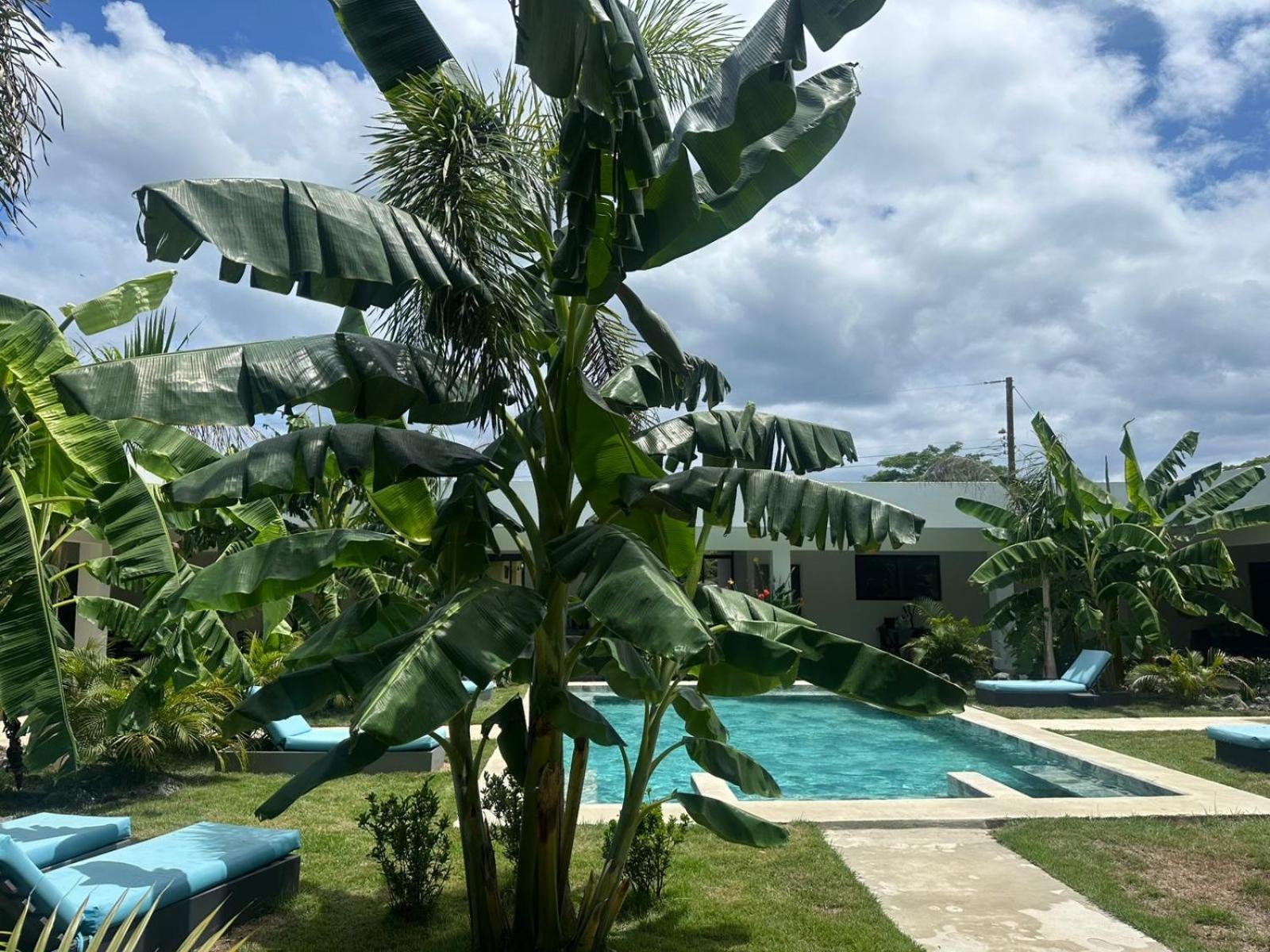Hotel Good Life Coco Ngoại thất bức ảnh