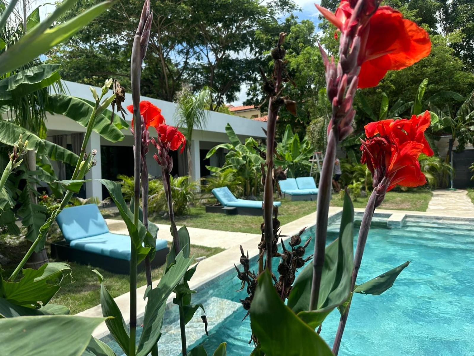 Hotel Good Life Coco Ngoại thất bức ảnh